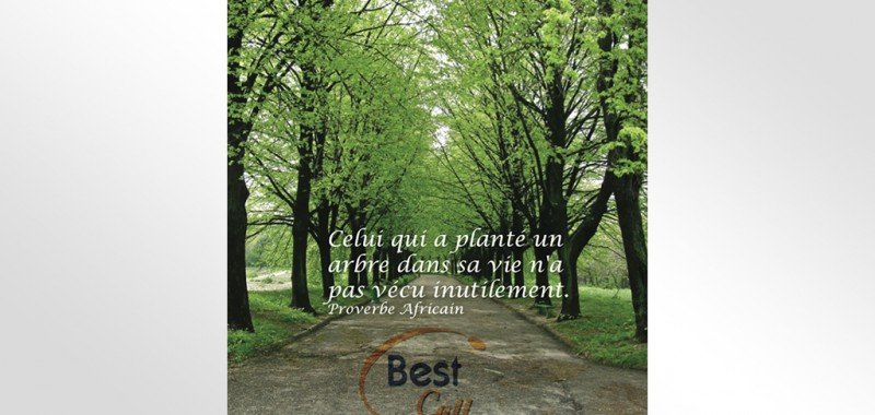 Habillage bureau Best Call