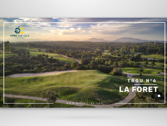 Community Management Golf Citrus