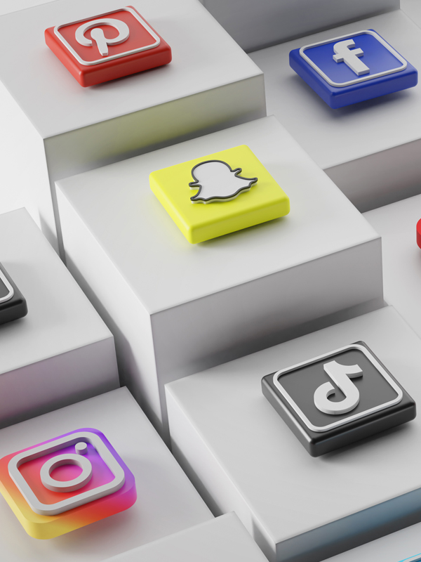 sm1 Gestion des réseaux sociaux